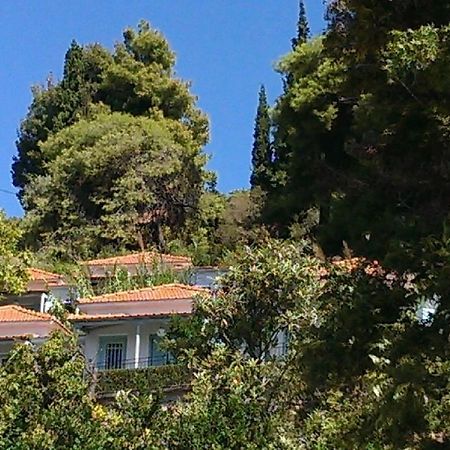 Sofia Holiday Studios Stafylos Luaran gambar