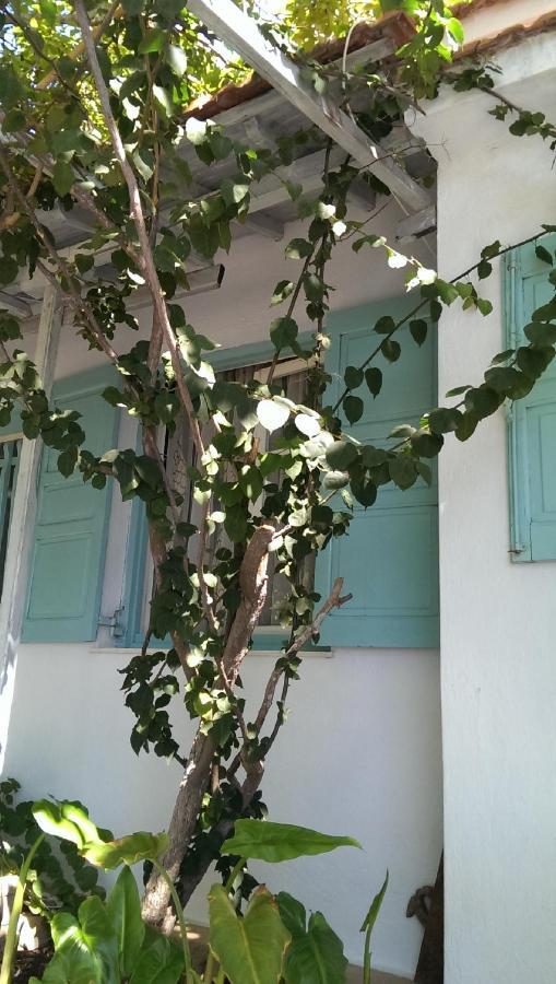 Sofia Holiday Studios Stafylos Luaran gambar